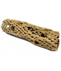 Cholla Cactus Wood - Medium