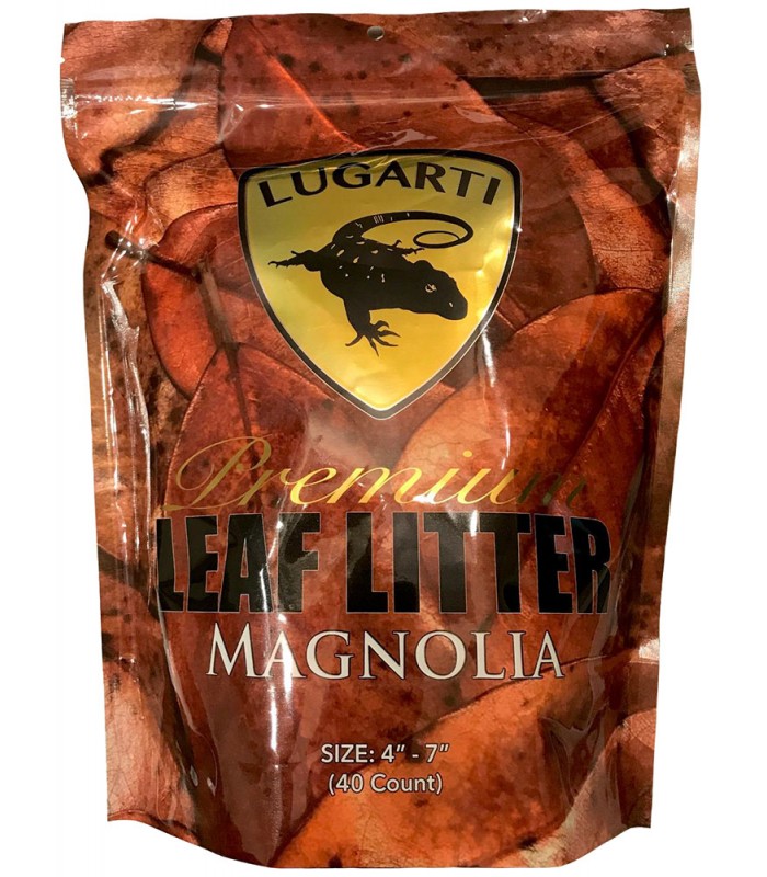 Southern Magnolia Leaf Litter - Large Box (FREE SHIPPING)